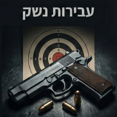 עבירות נשק