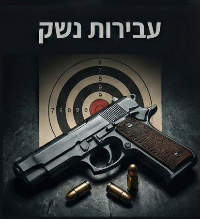 עבירות נשק